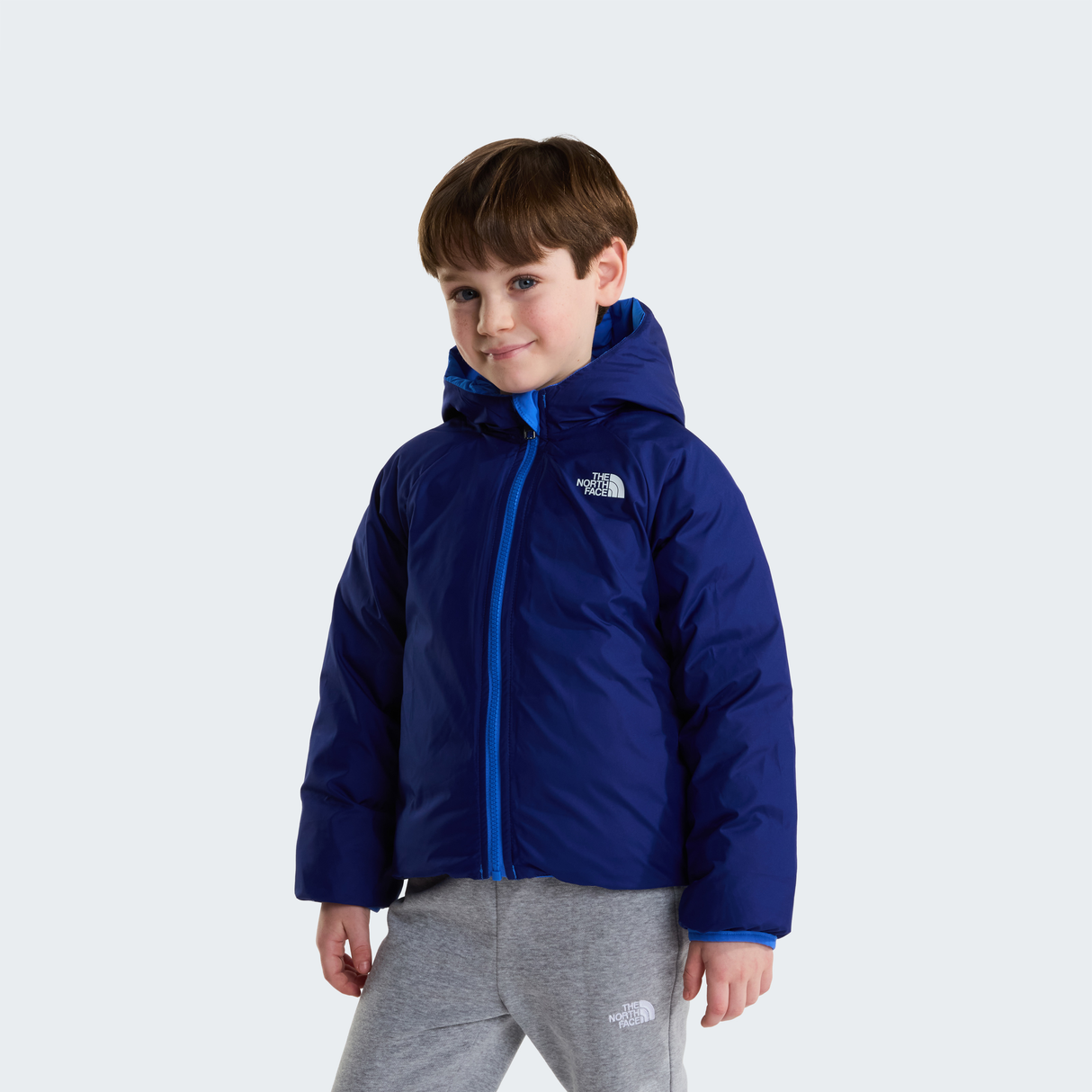 tnf_asset:NF0A88VJNLQ-ALT1