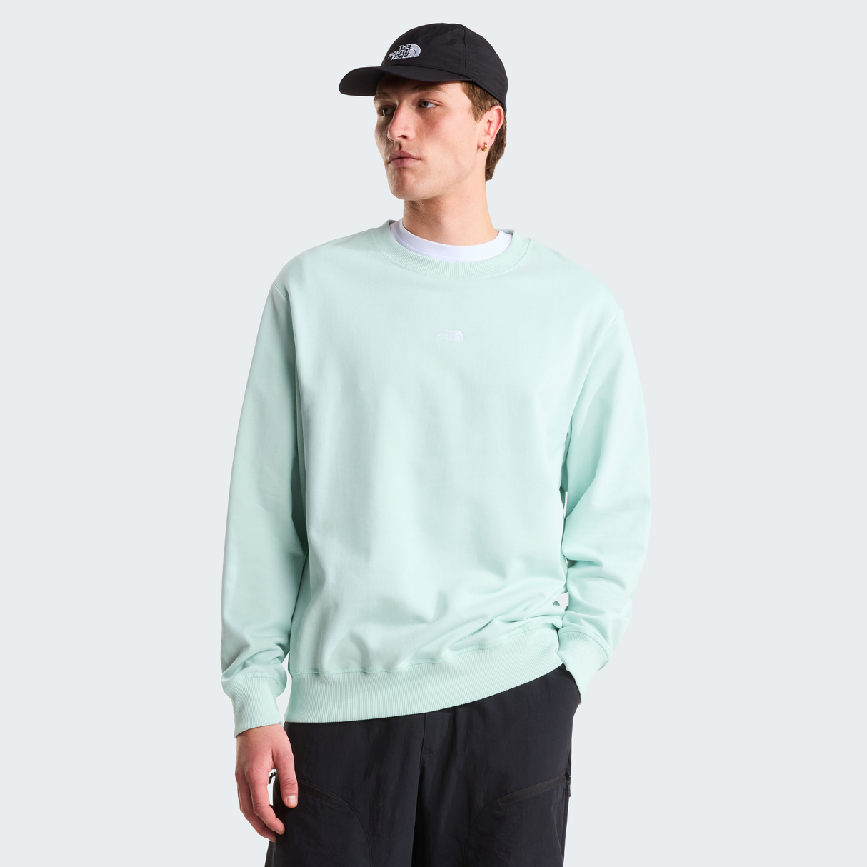 tnf_asset:NF0A8GQCG70-ALT2