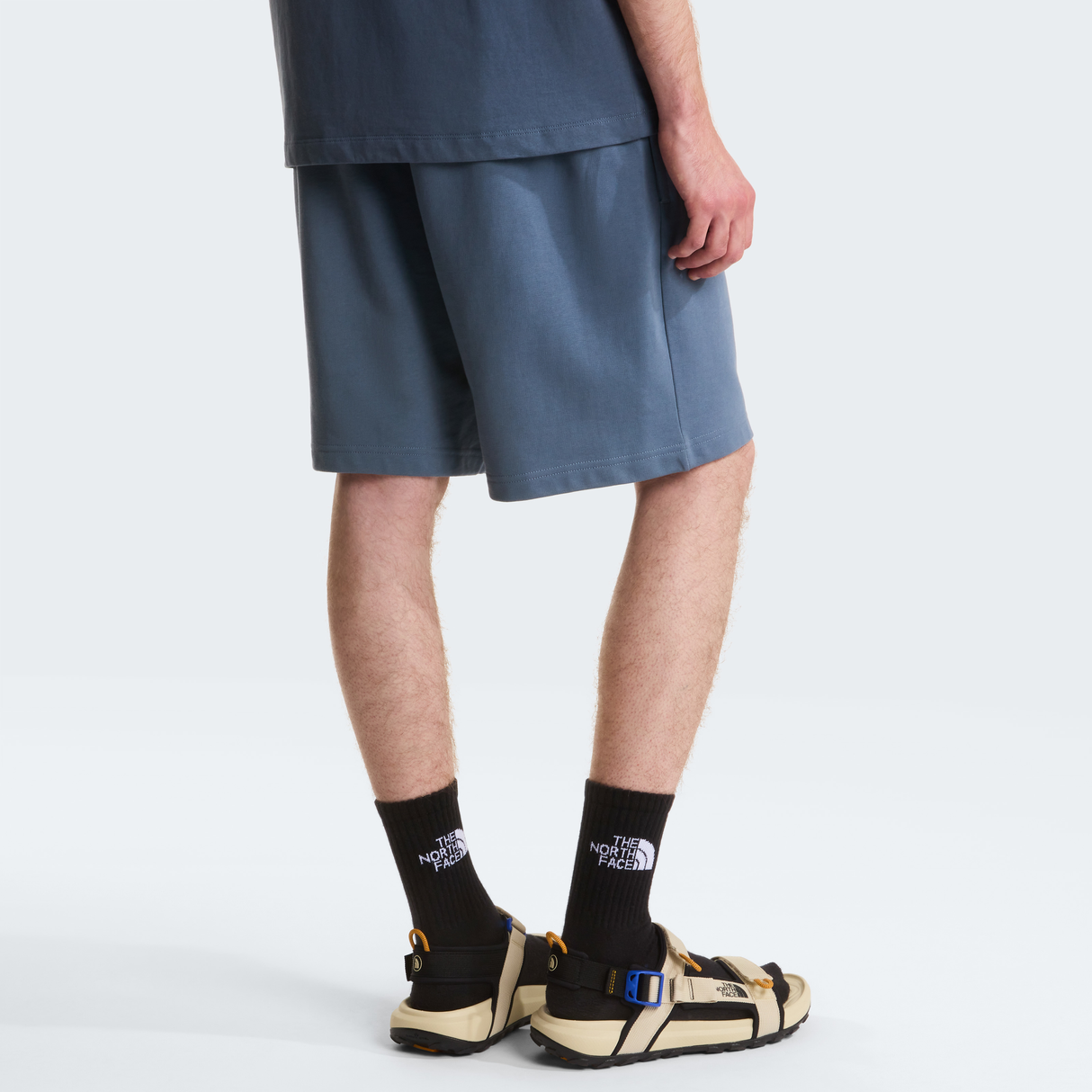 tnf_asset:NF0A8GQ90U3-ALT3