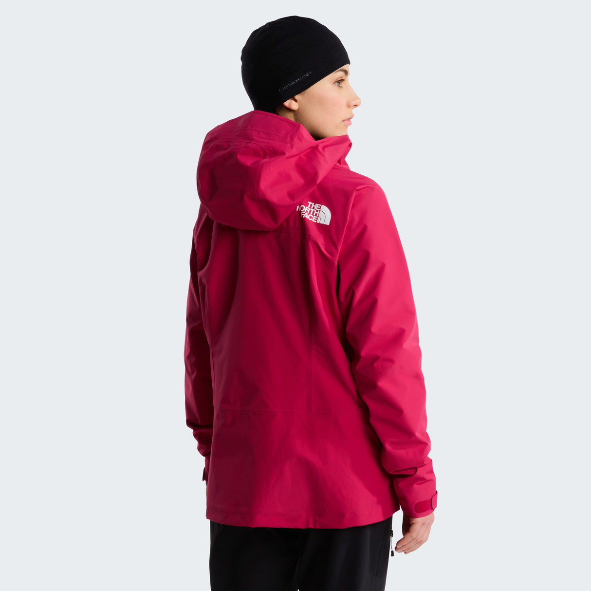 tnf_asset:NF0A8C9FBOS-ALT3