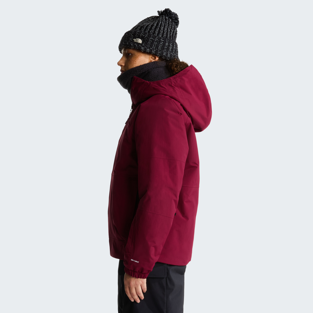 tnf_asset:NF0A8H30MVO-ALT2