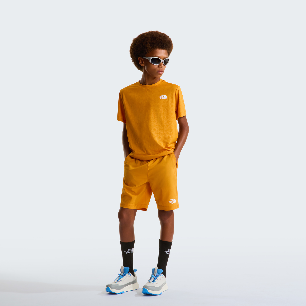 tnf_asset:NF0A8FZ0G5I-ALT1