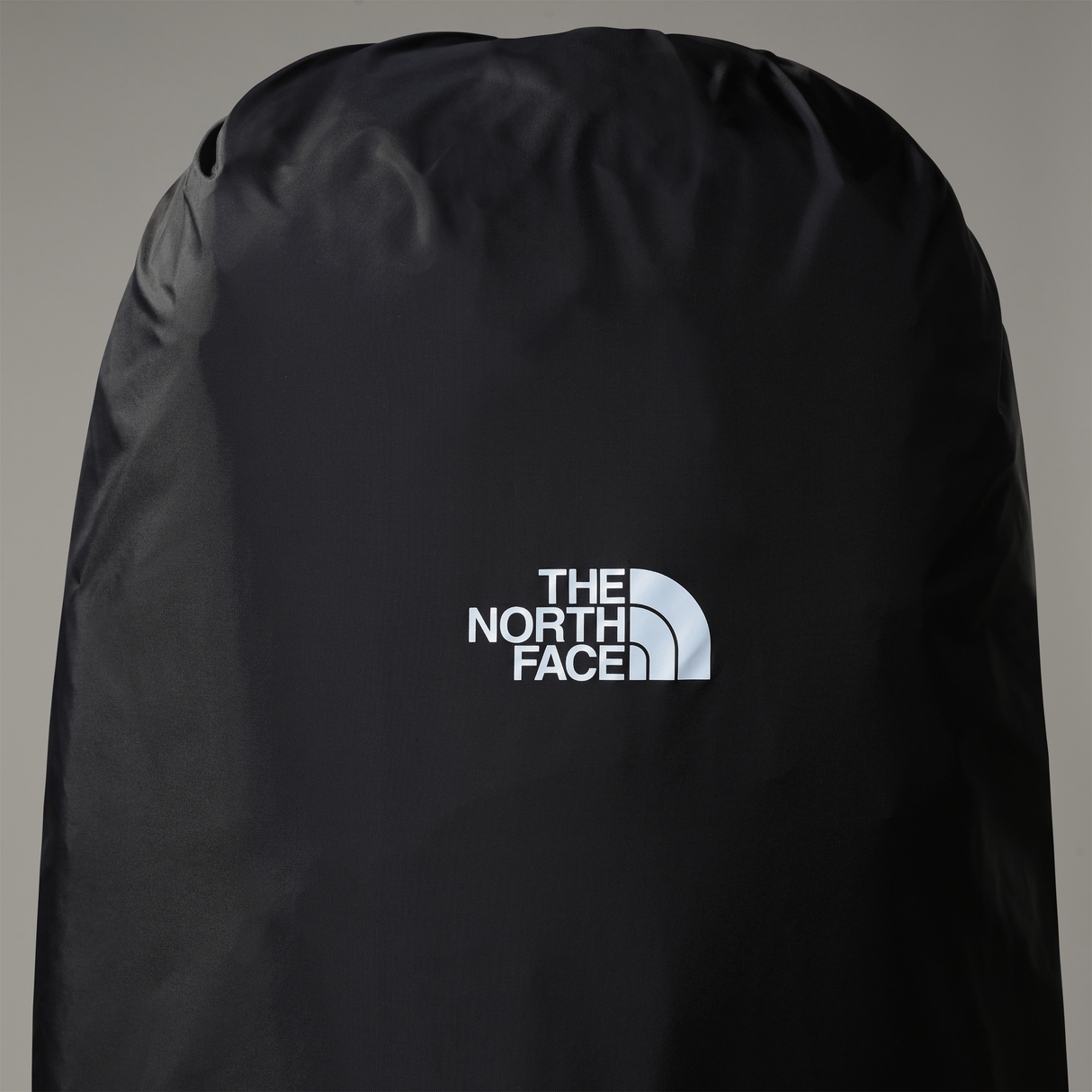 tnf_asset:NF00CA7Z4H0-ALT1