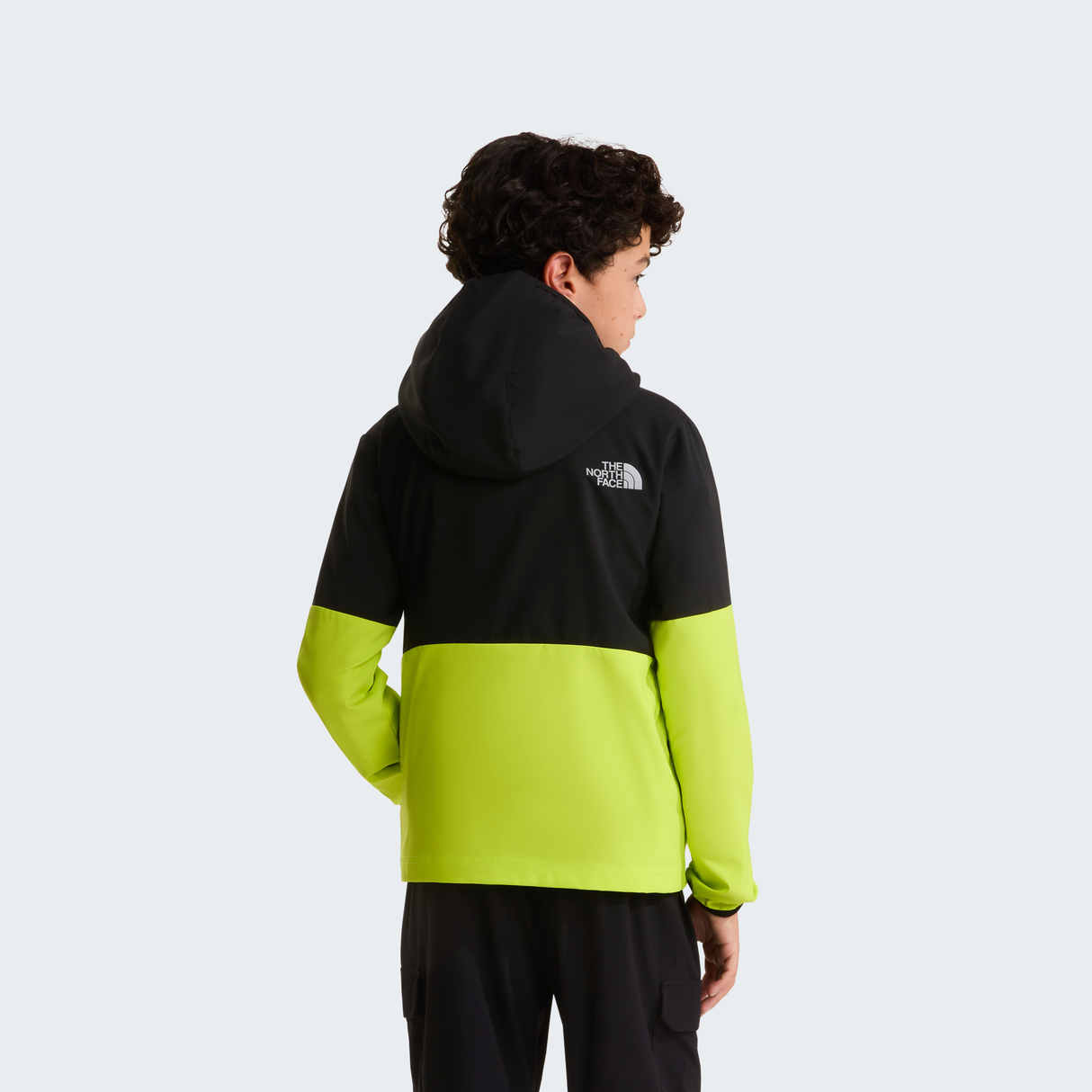 tnf_asset:NF0A8FPXMCO-ALT3