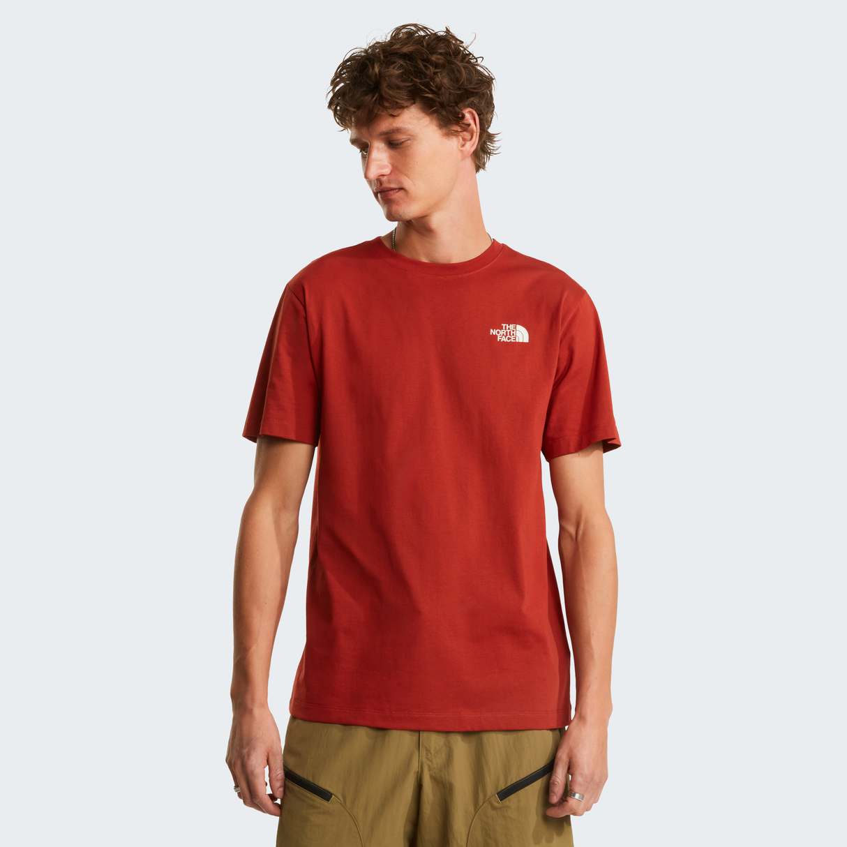 tnf_asset:NF0A8GV1G6I-ALT1