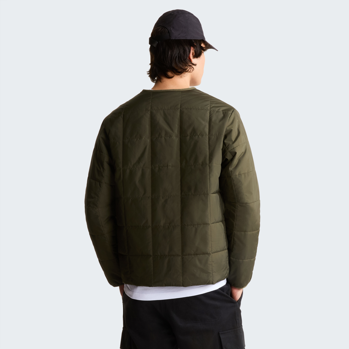 tnf_asset:NF0A8JRH21L-ALT3