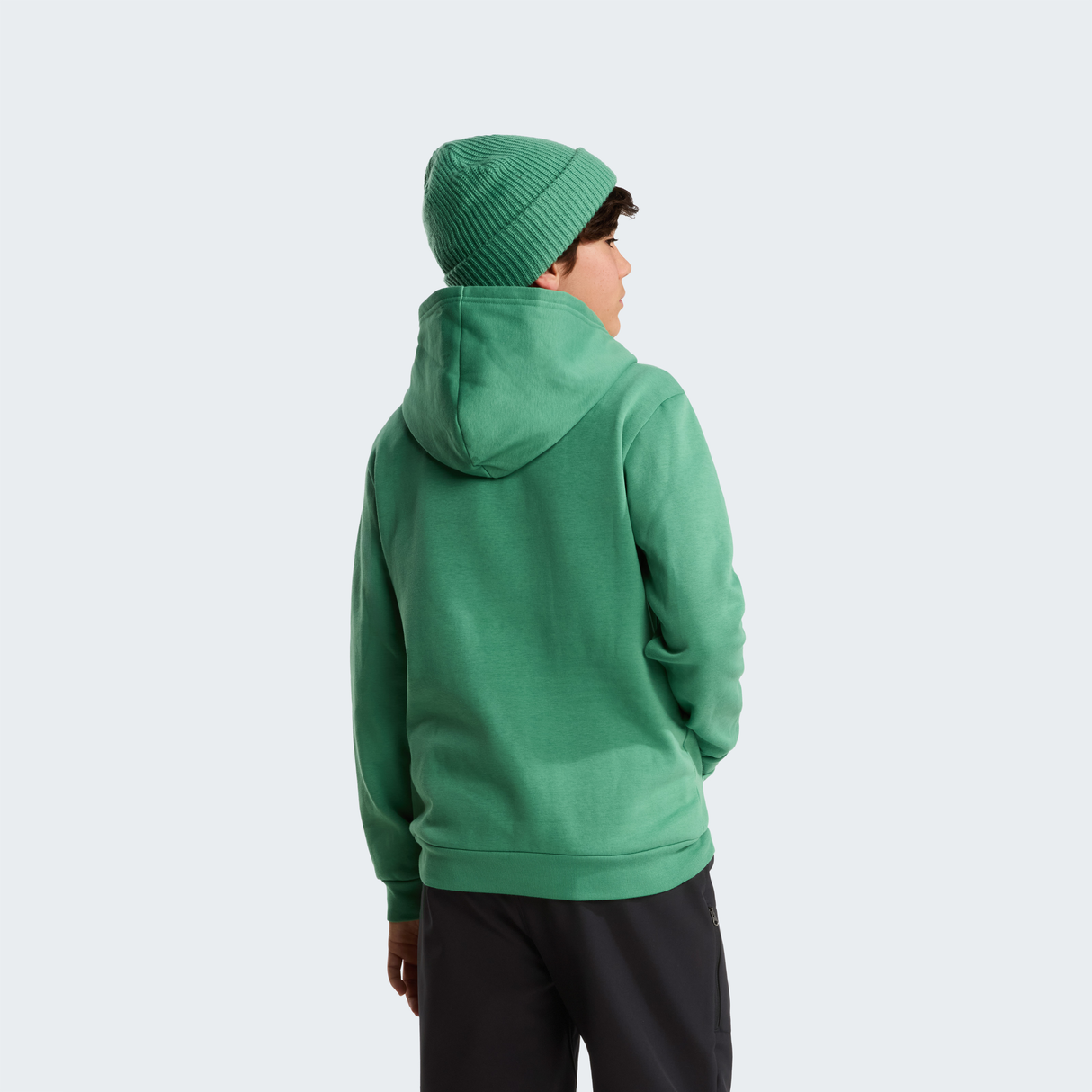 tnf_asset:NF0A8CV6G57-ALT3
