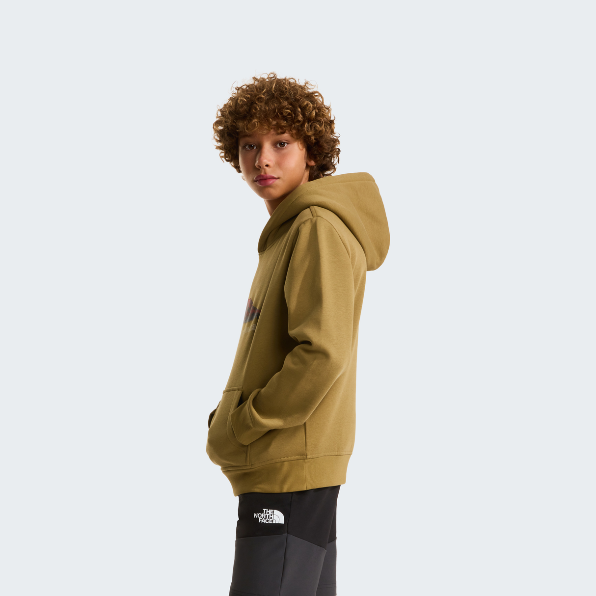 tnf_asset:NF0A8G1V2EL-ALT2