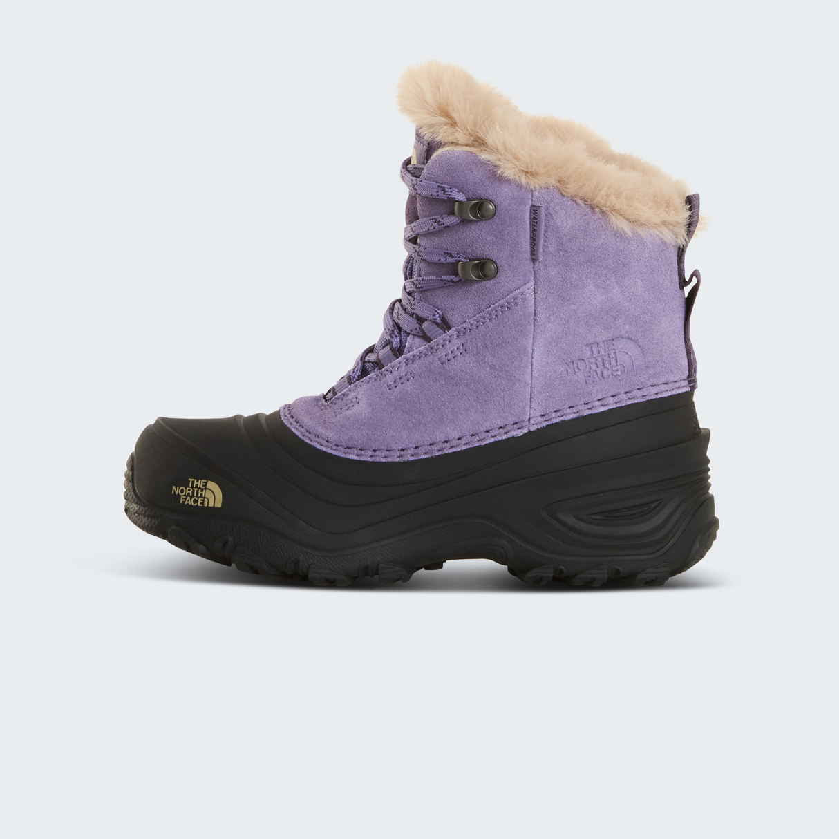 tnf_asset:NF0A7W5XS63-HERO