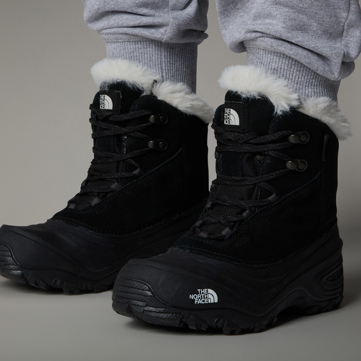 tnf_asset:NF0A7W5XKX7-ALT2