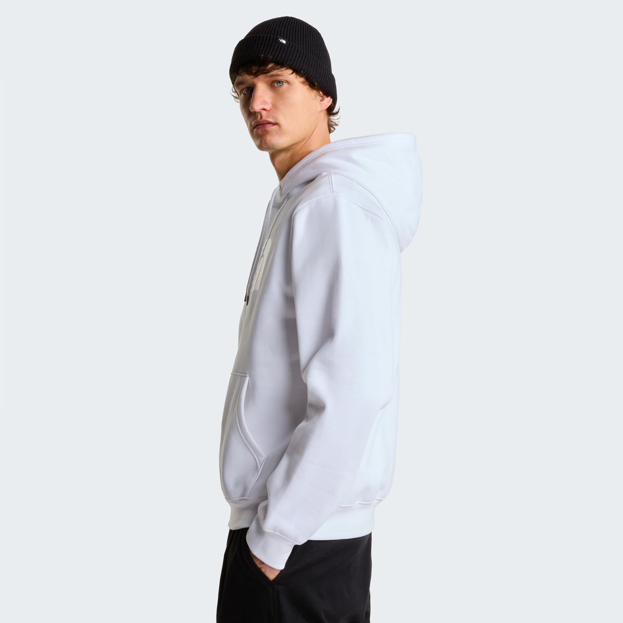 tnf_asset:NF0A8FDAFN4-ALT2
