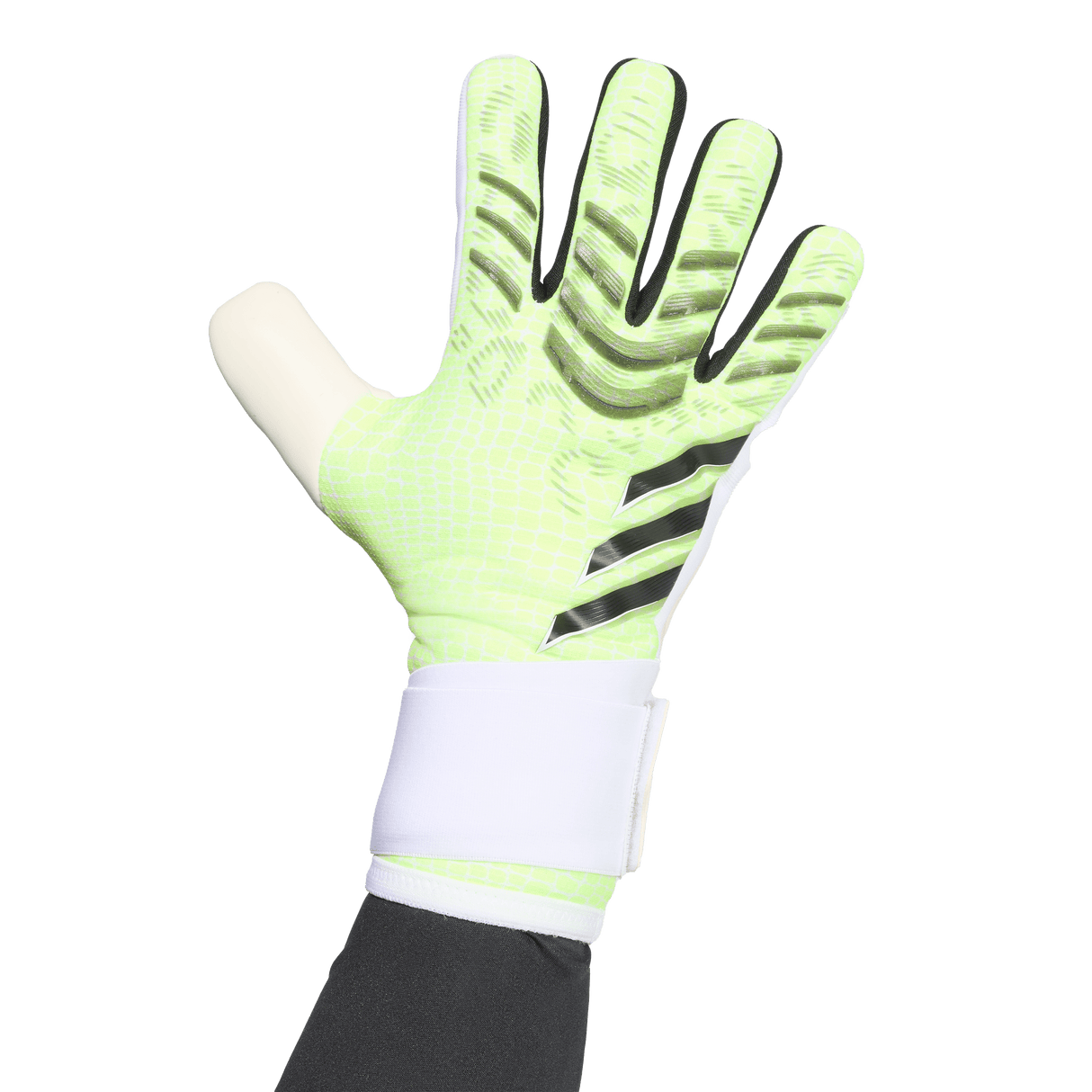 ADIDAS - Predator Competition Goalkeeper Glove - Black - image 6