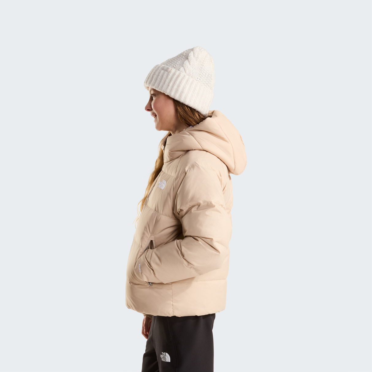 tnf_asset:NF0A8H3WN7J-ALT2