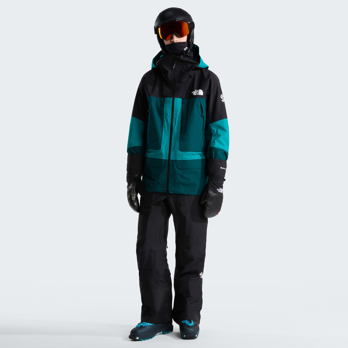 tnf_asset:NF0A8C9ESE7-ALT1