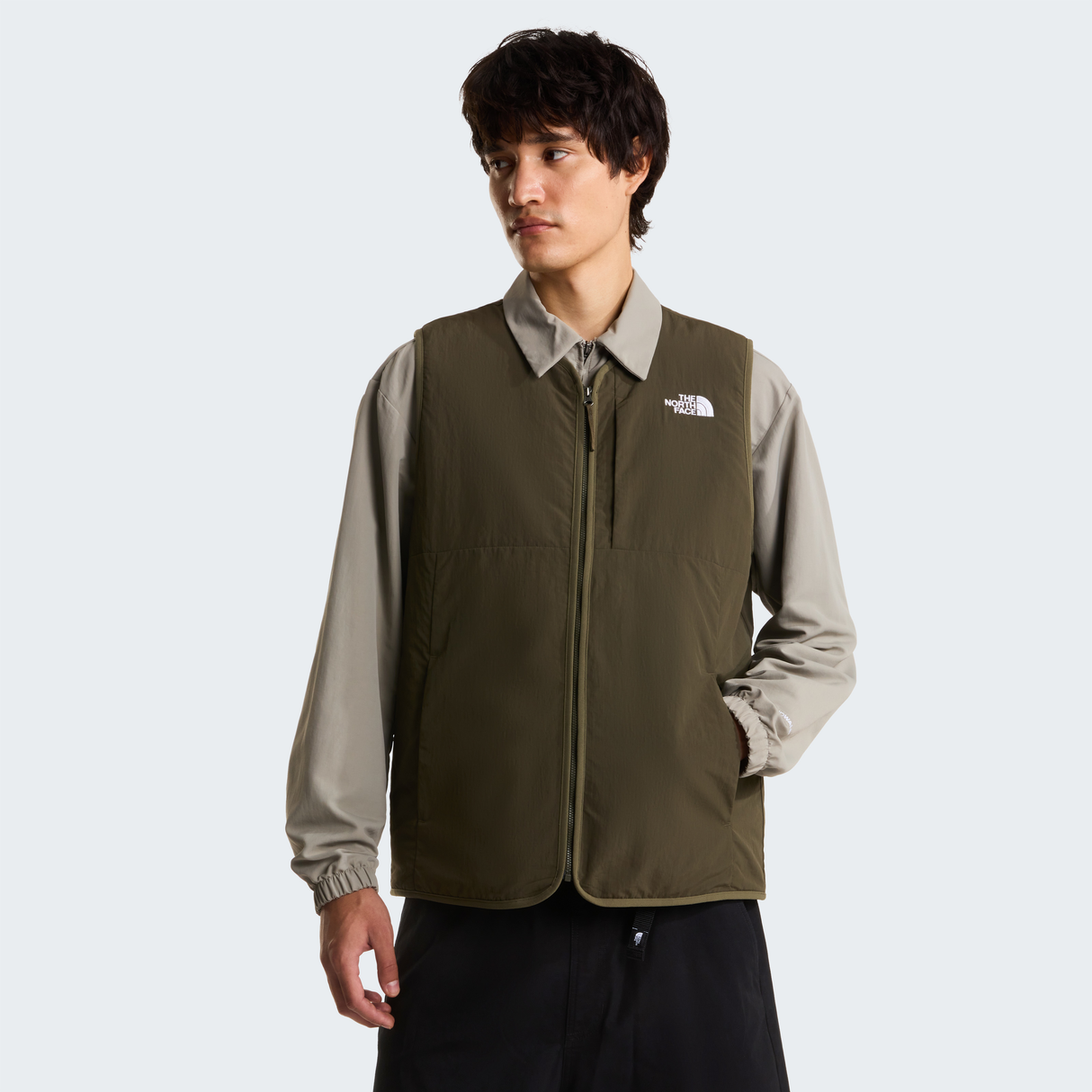 tnf_asset:NF0A8DWH21L-ALT2