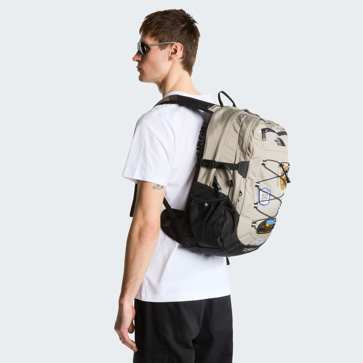 tnf_asset:NF0A8KE80E3-ALT1