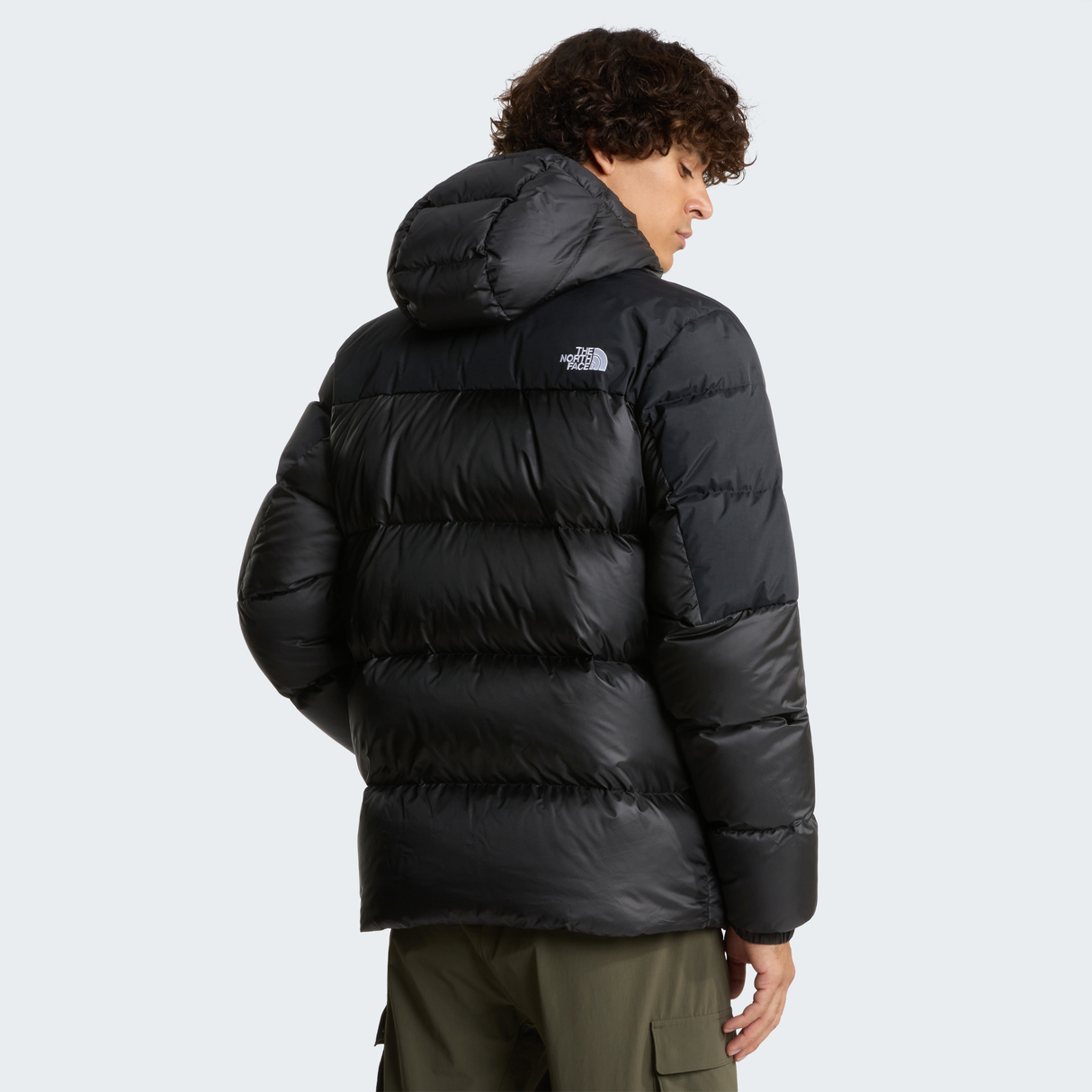 tnf_asset:NF0A8992GOC-ALT3