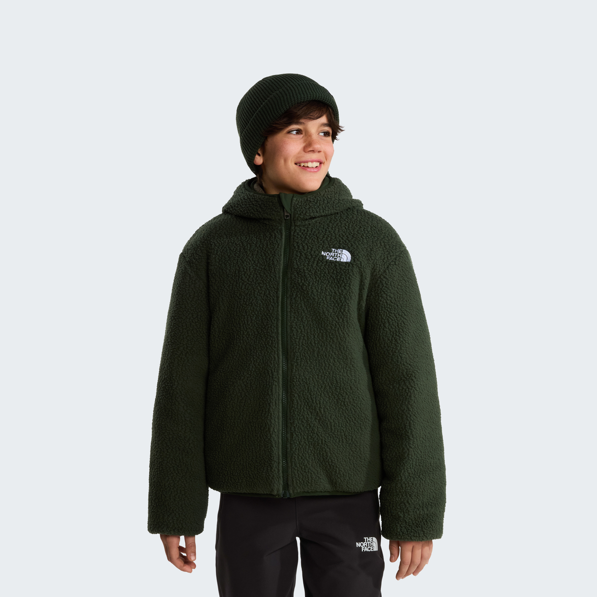 tnf_asset:NF0A88TPRJ6-ALT1