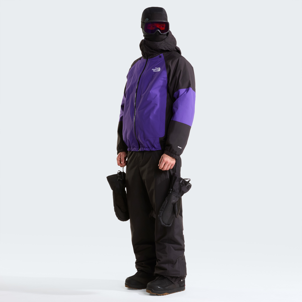 tnf_asset:NF0A8H22S96-ALT1