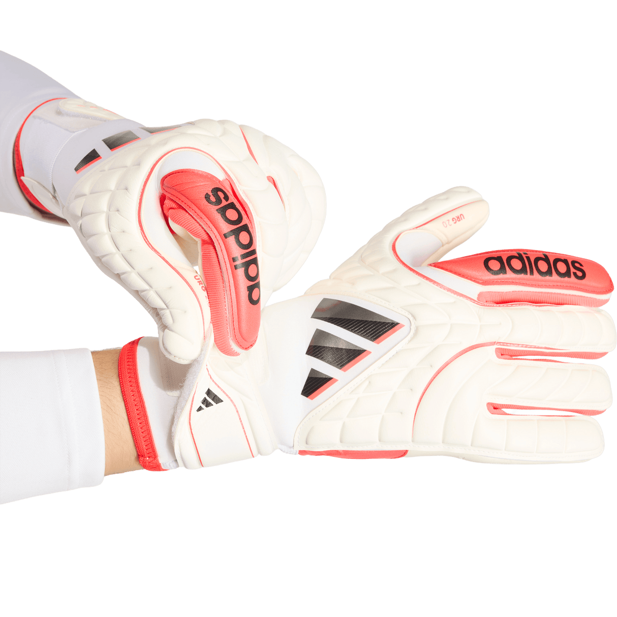 ADIDAS - Guanti Da Portiere Copa Pro - image 2