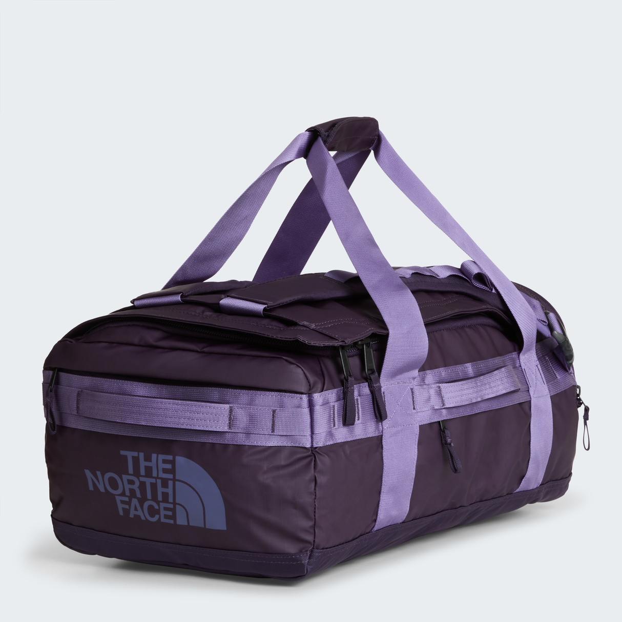 tnf_asset:NF0A52RQS1B-ALT3