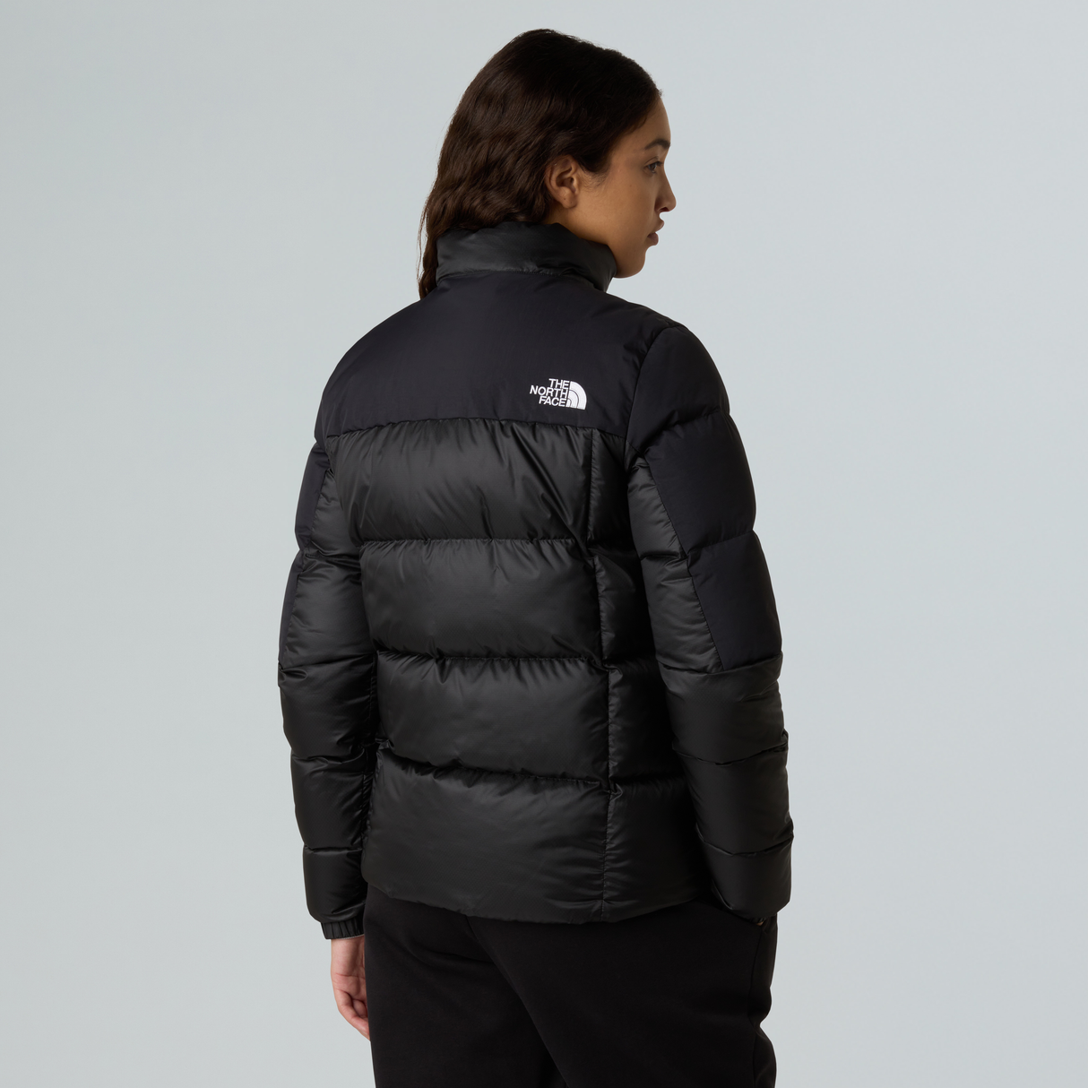 tnf_asset:NF0A8E14PH5-ALT2