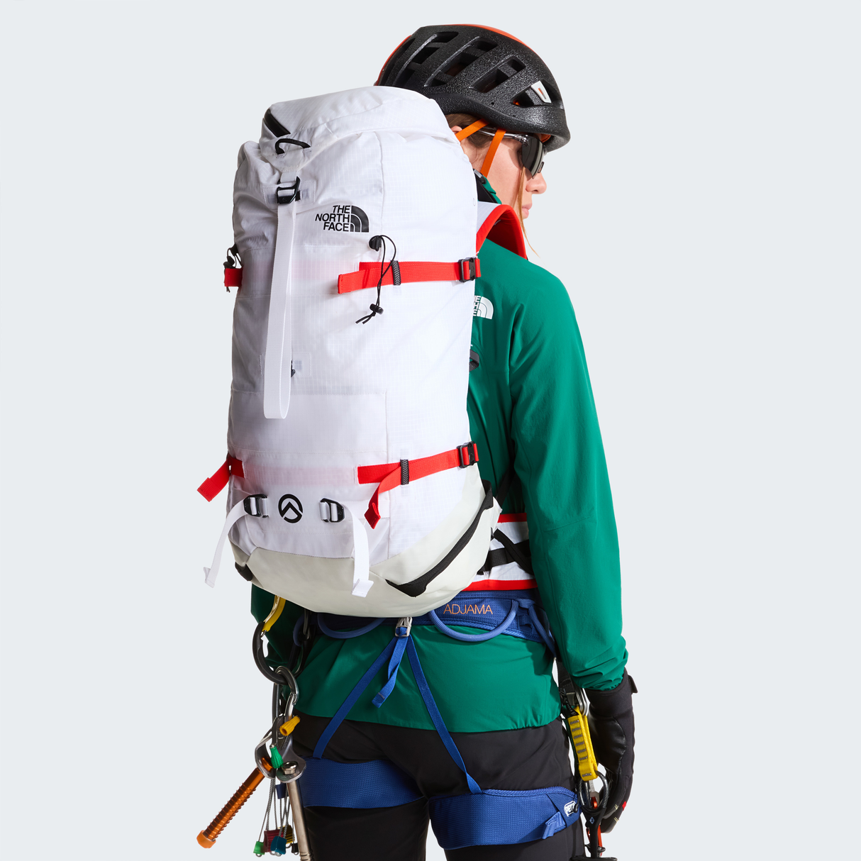 tnf_asset:NF0A52D754G-ALT1