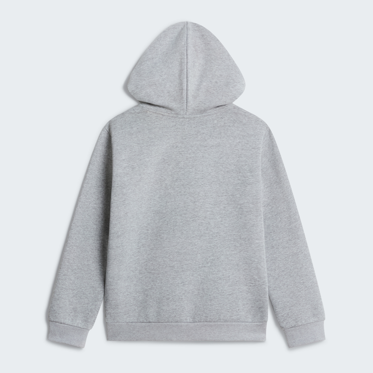 tnf_asset:NF0A8CV6CQO-ALT1