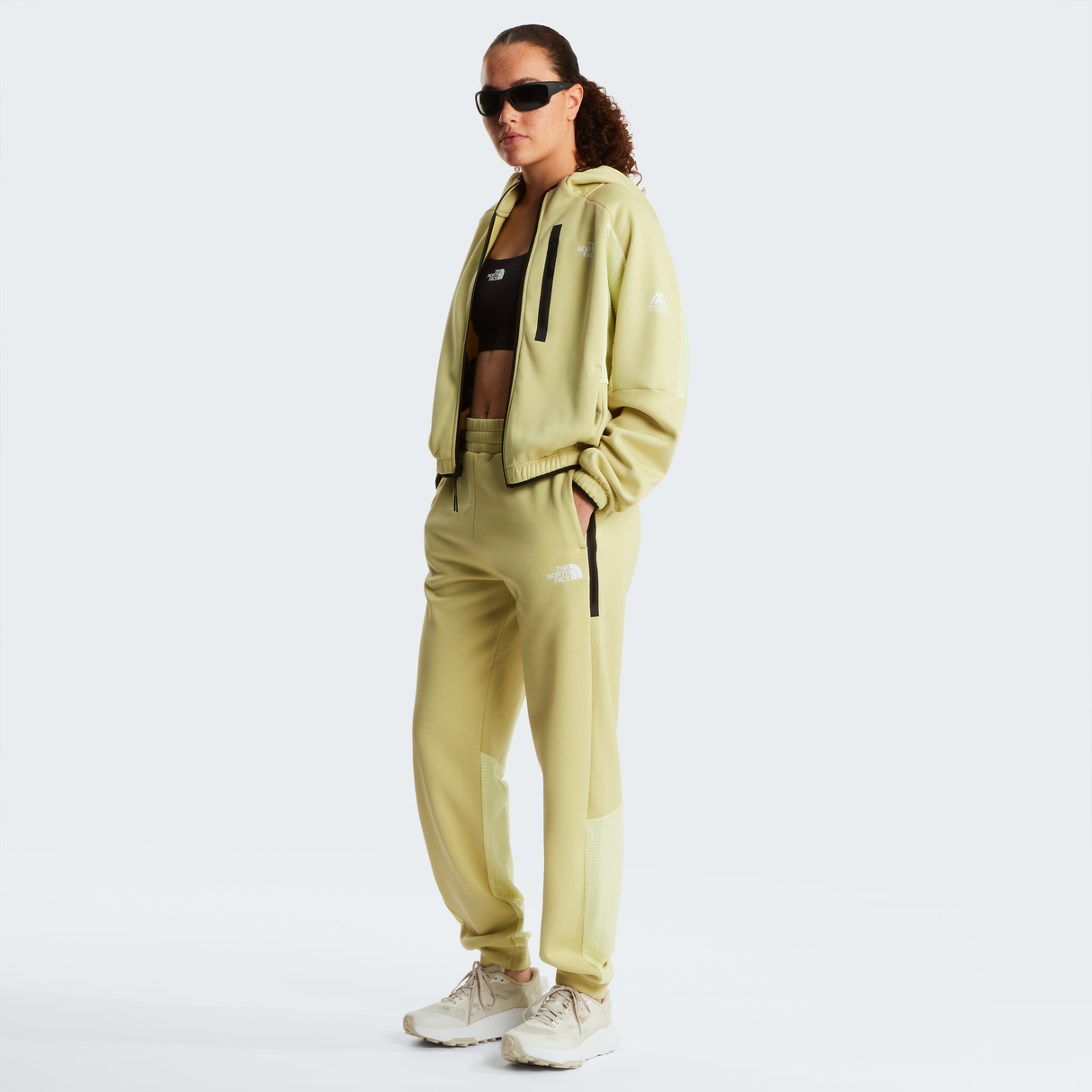 tnf_asset:NF0A8DXXG73-ALT1