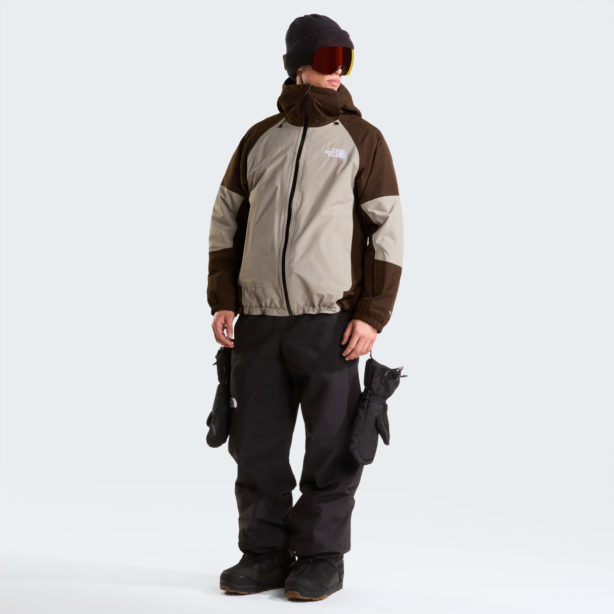 tnf_asset:NF0A8H22SM6-ALT1