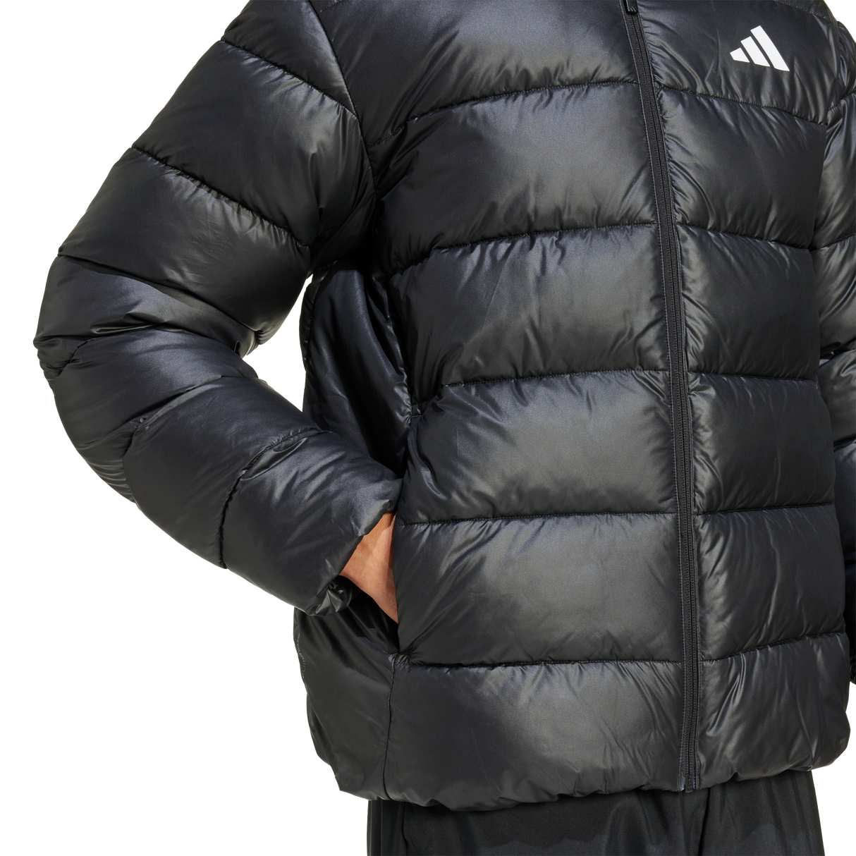 ADIDAS - Piumino Sintetico Essentials CLIMAWARM - Uomo - image 13