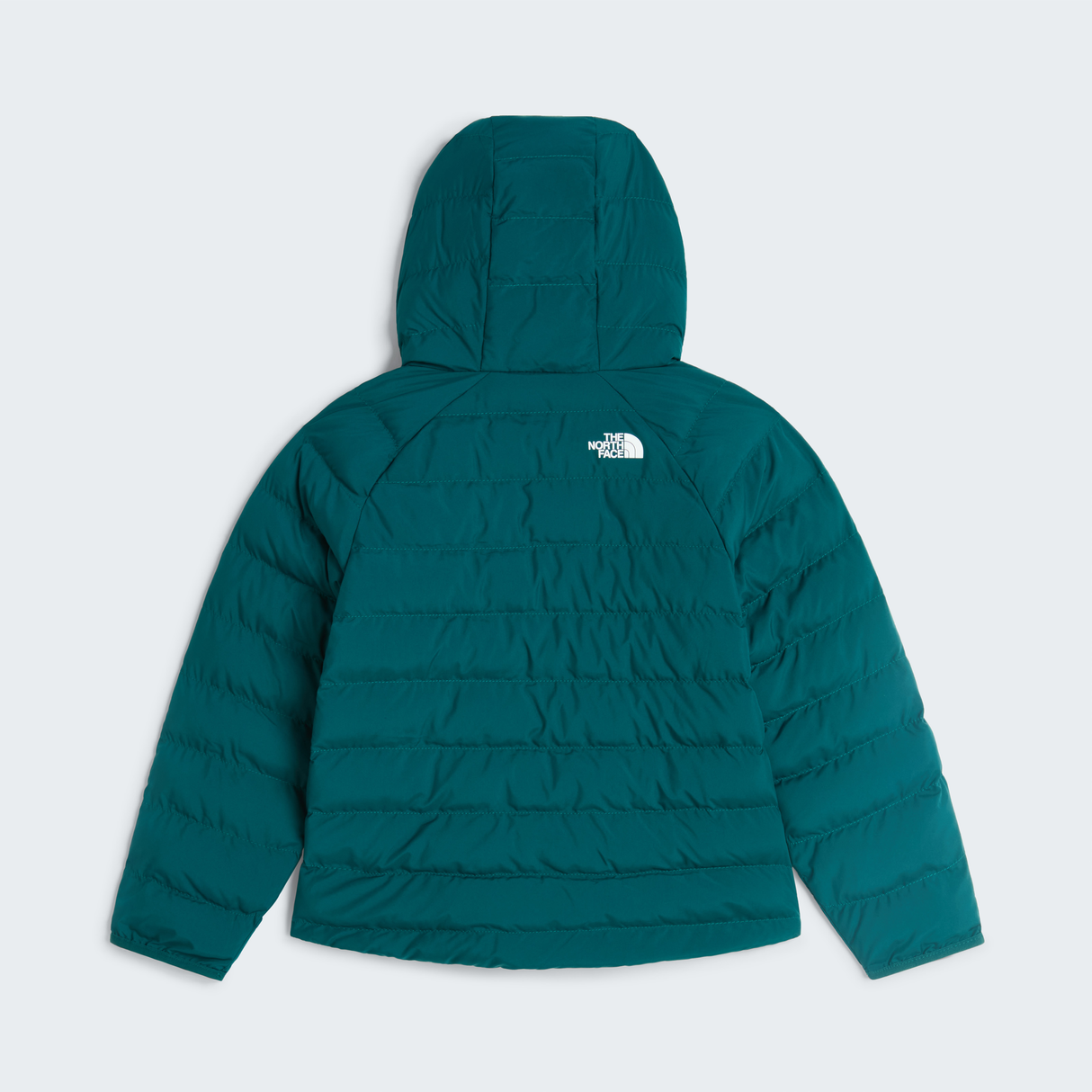tnf_asset:NF0A88VJN4J-ALT1