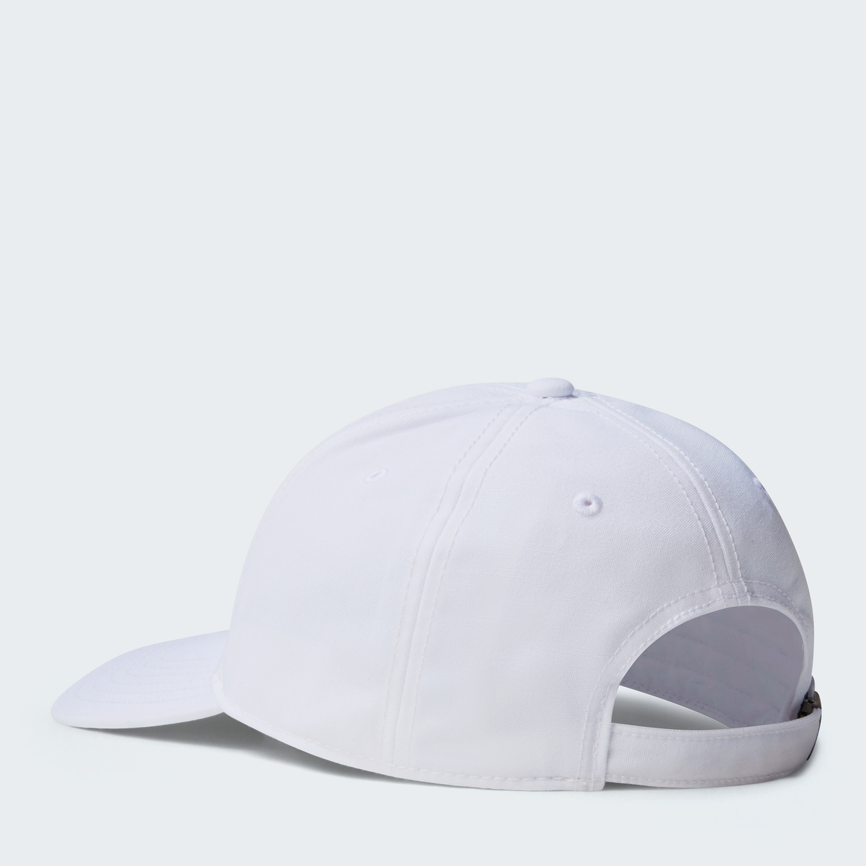 tnf_asset:NF0A4VSVFN4-ALT2