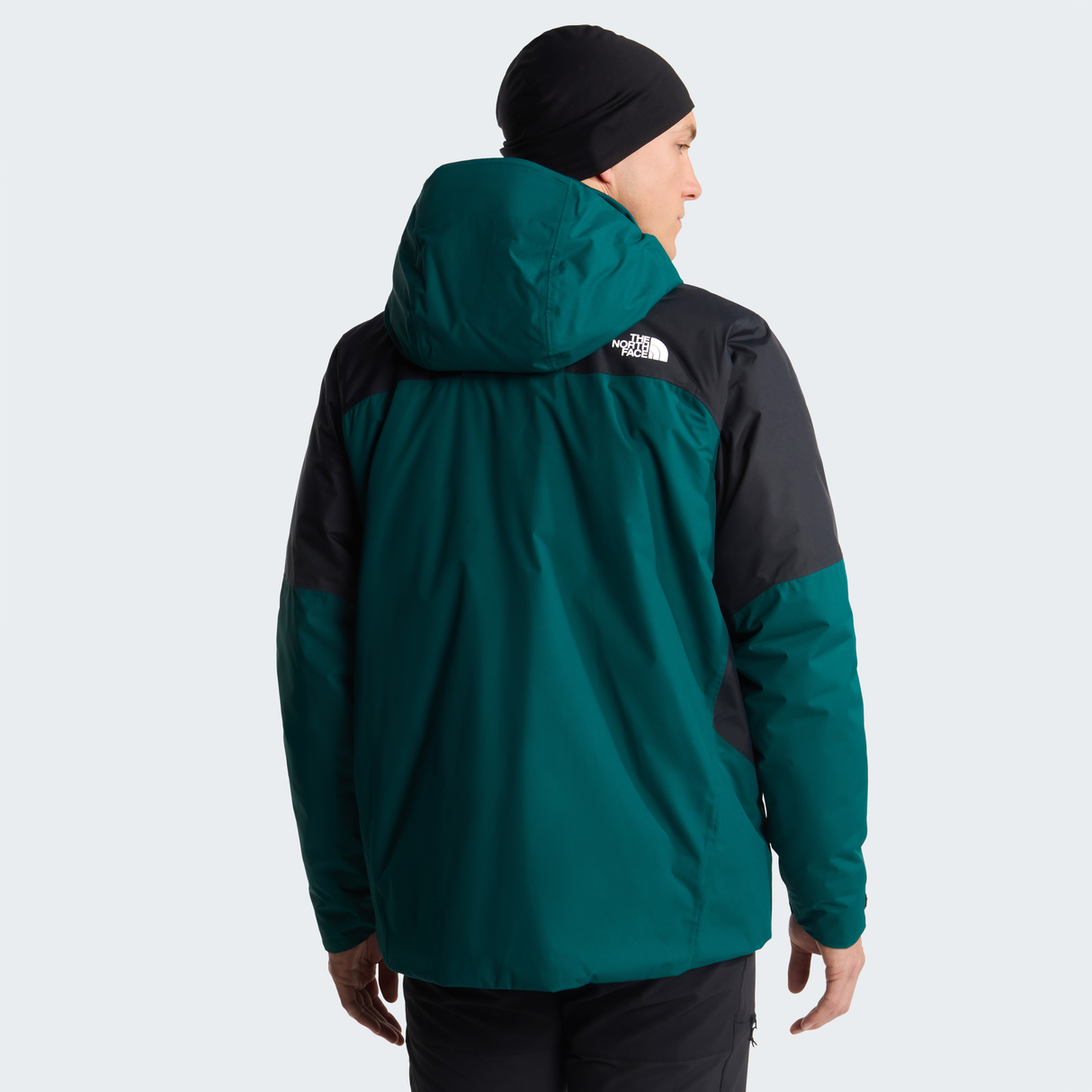 tnf_asset:NF0A8CNTS7K-ALT3