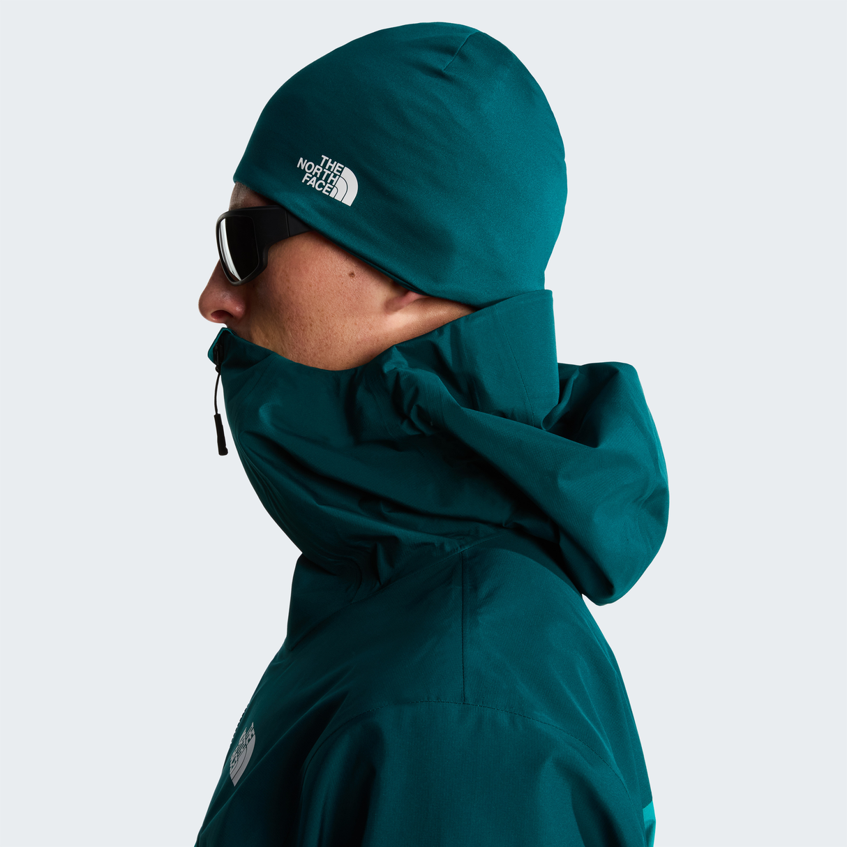 tnf_asset:NF0A888AN4J-ALT3