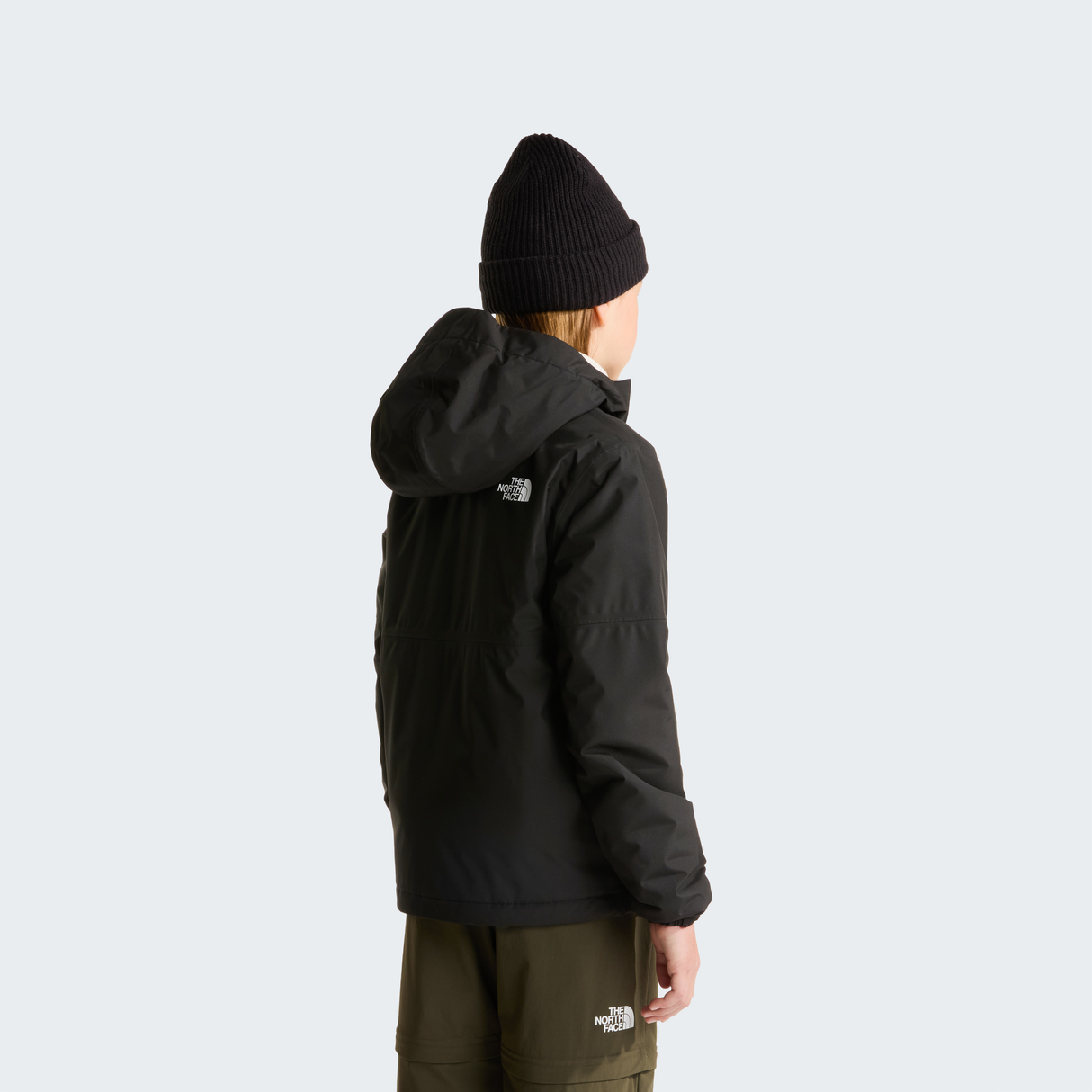 tnf_asset:NF0A873RKX7-ALT3