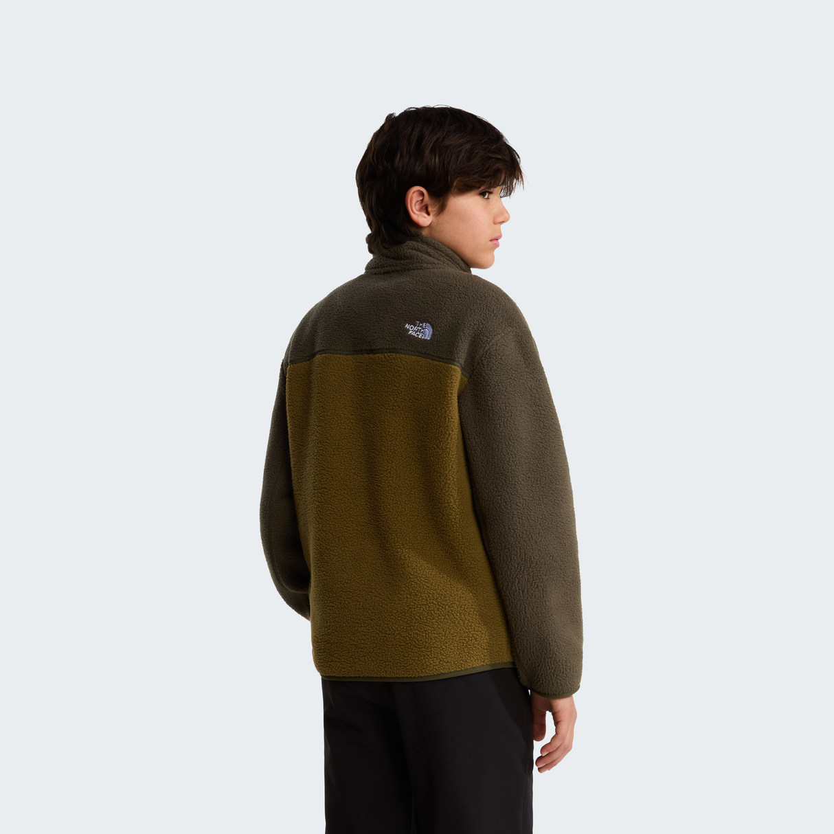 tnf_asset:NF0A8J61RL2-ALT3