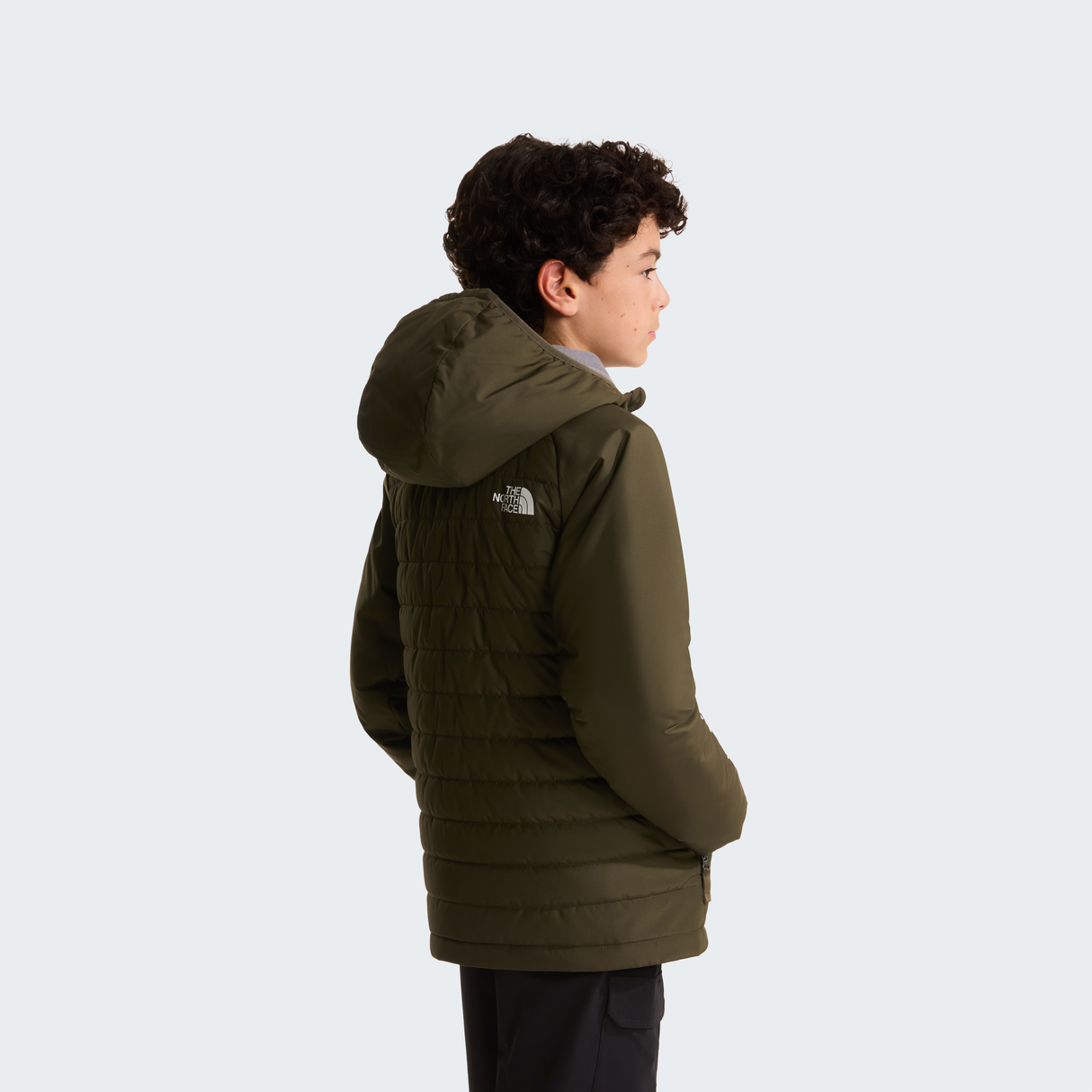 tnf_asset:NF0A89HR21L-ALT3