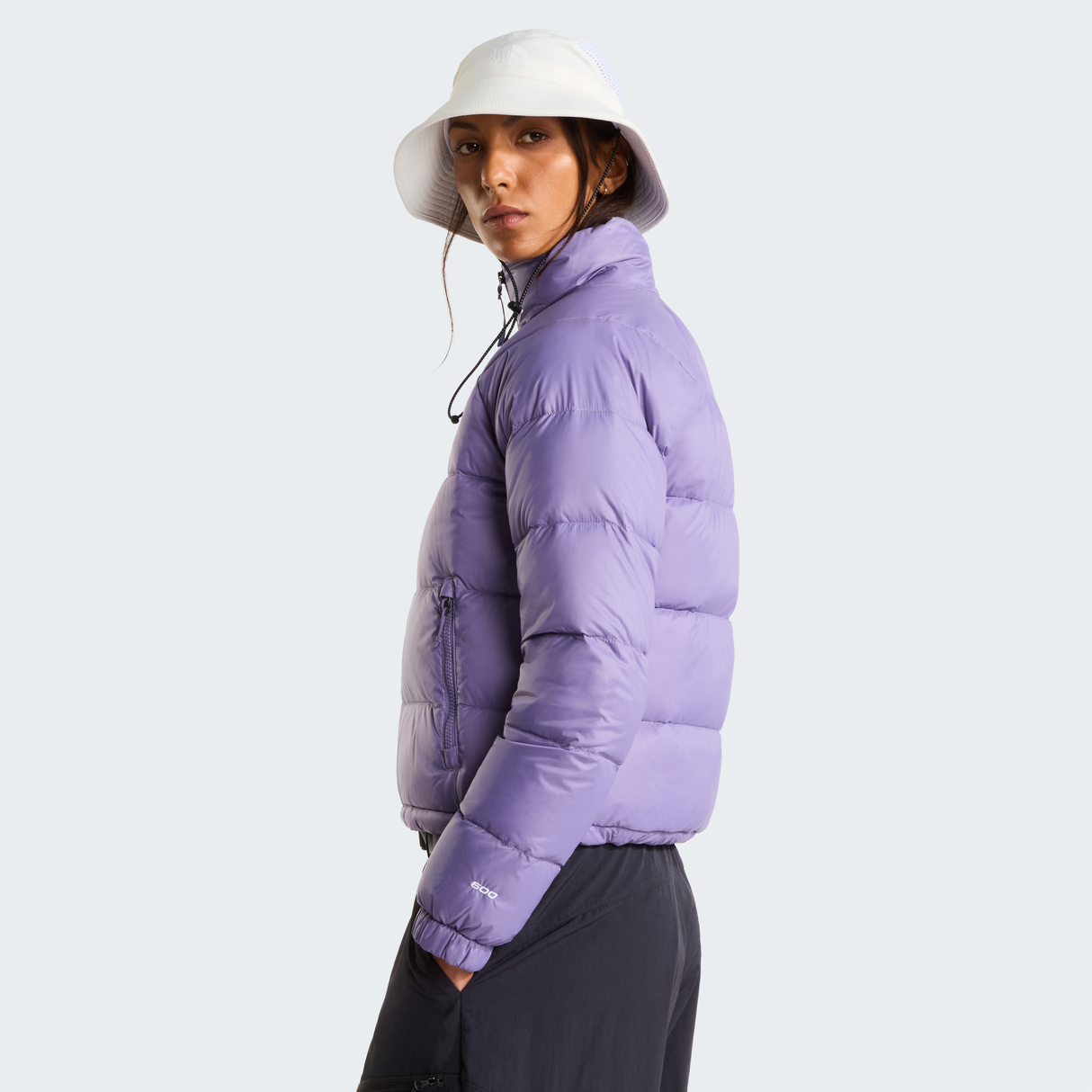 tnf_asset:NF0A88Z1NNK-ALT2