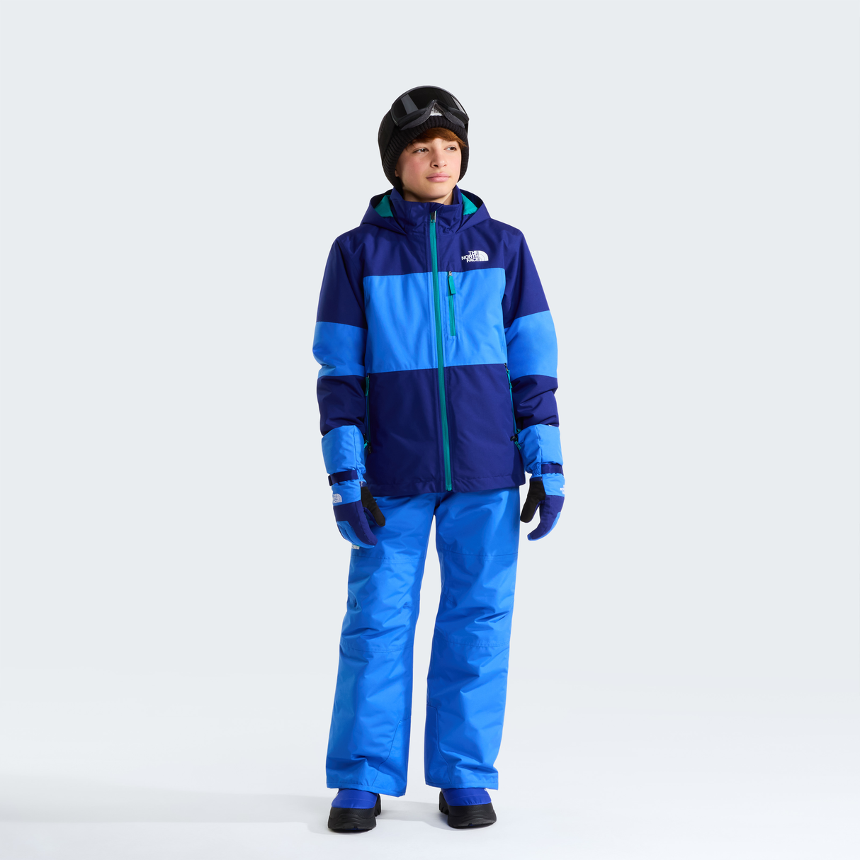 tnf_asset:NF0A8H4BNLQ-ALT1