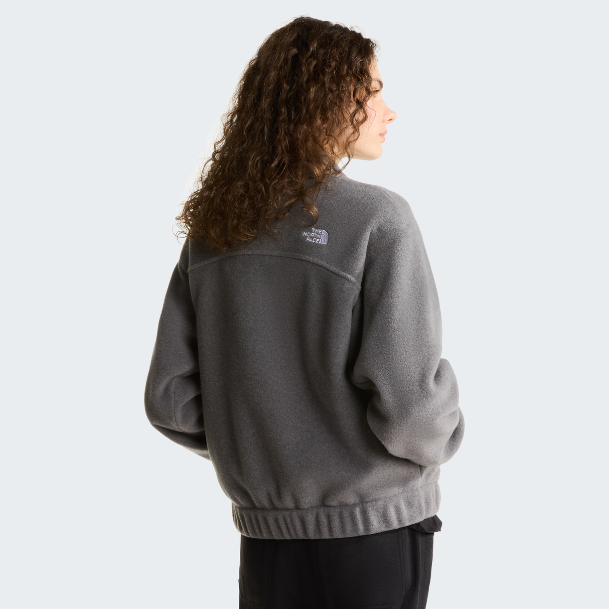 tnf_asset:NF0A8J6K0V2-ALT3