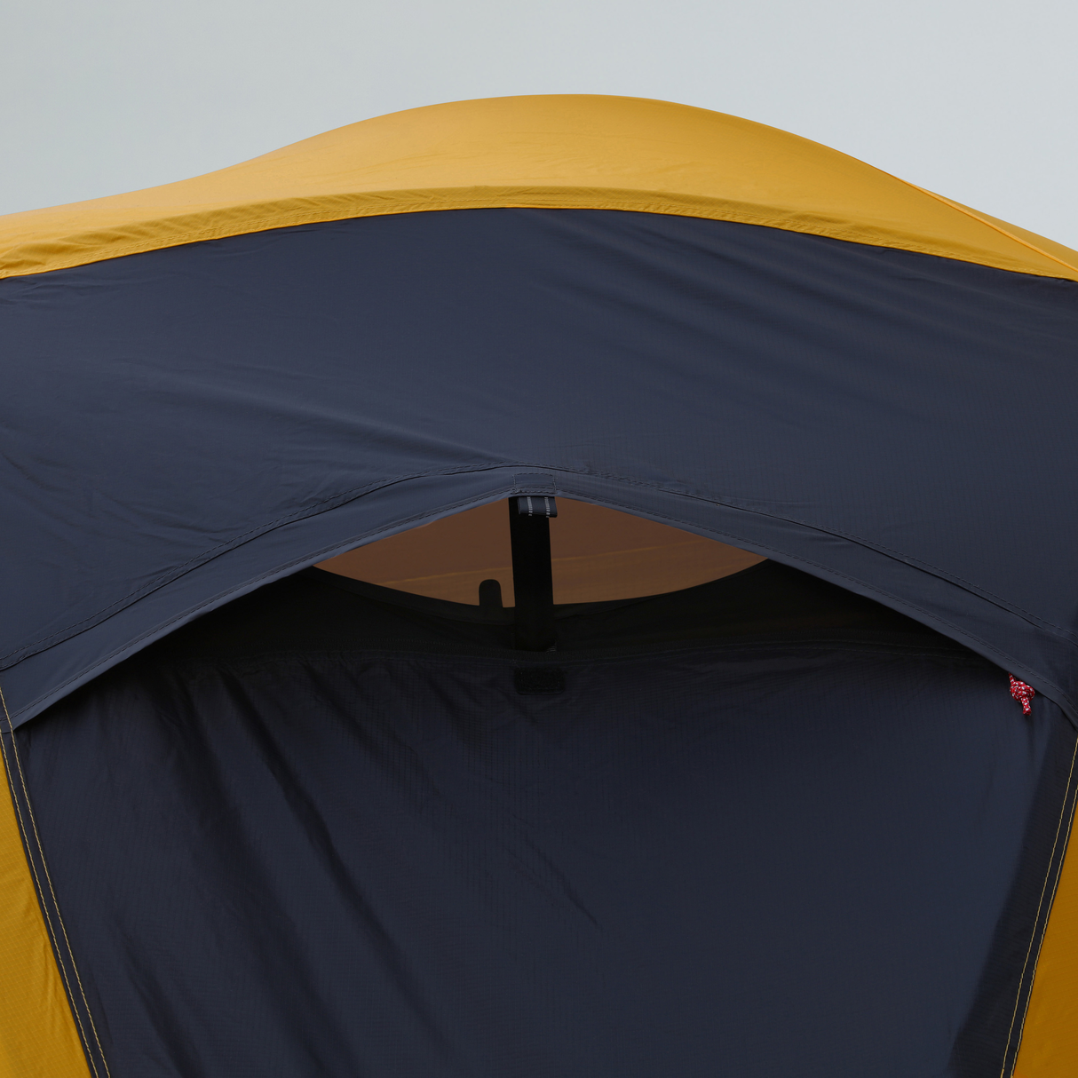 tnf_asset:NF0A8BD0C8T-ALT3