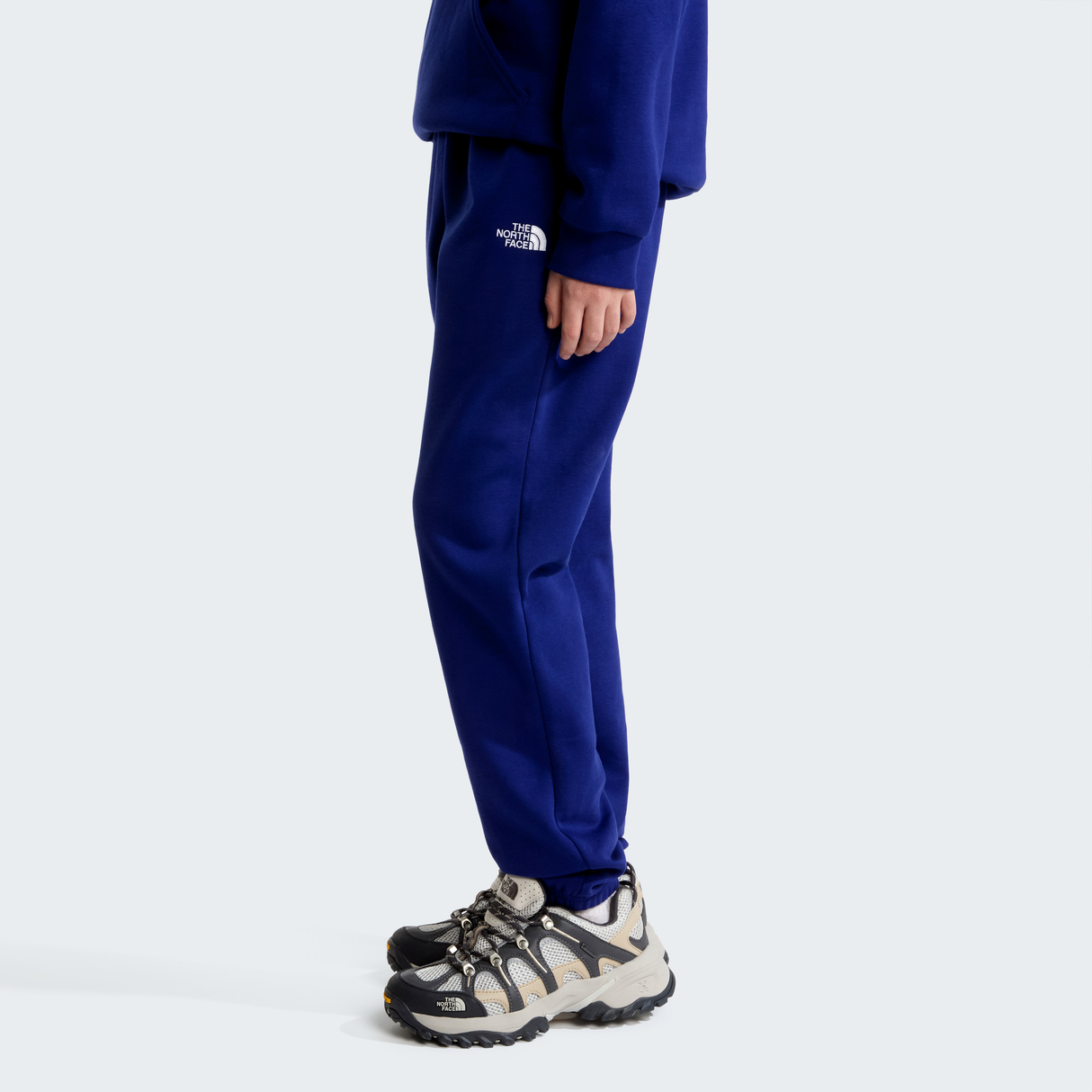 tnf_asset:NF0A8CVDNLV-ALT2