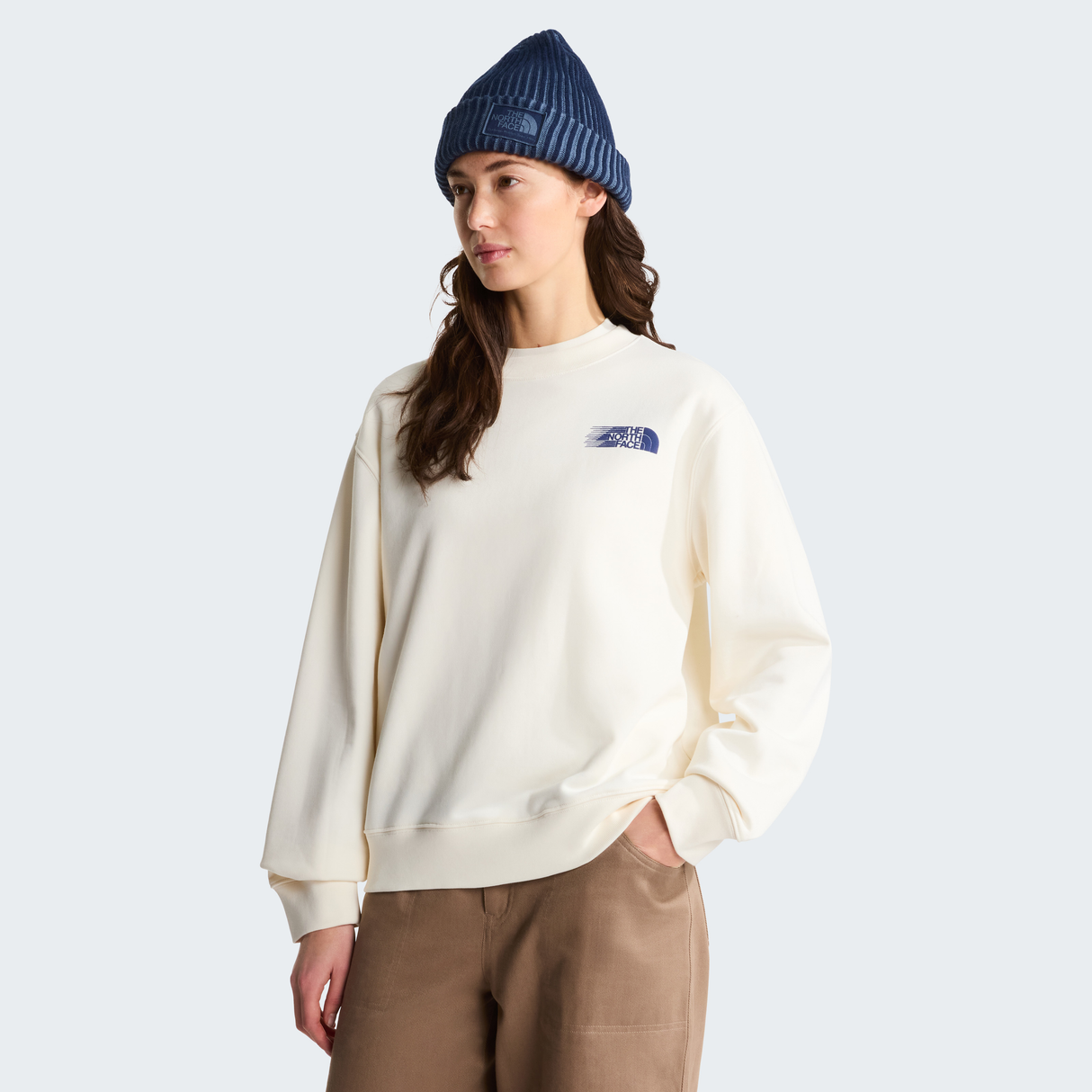 tnf_asset:NF0A8JAUQLI-ALT1