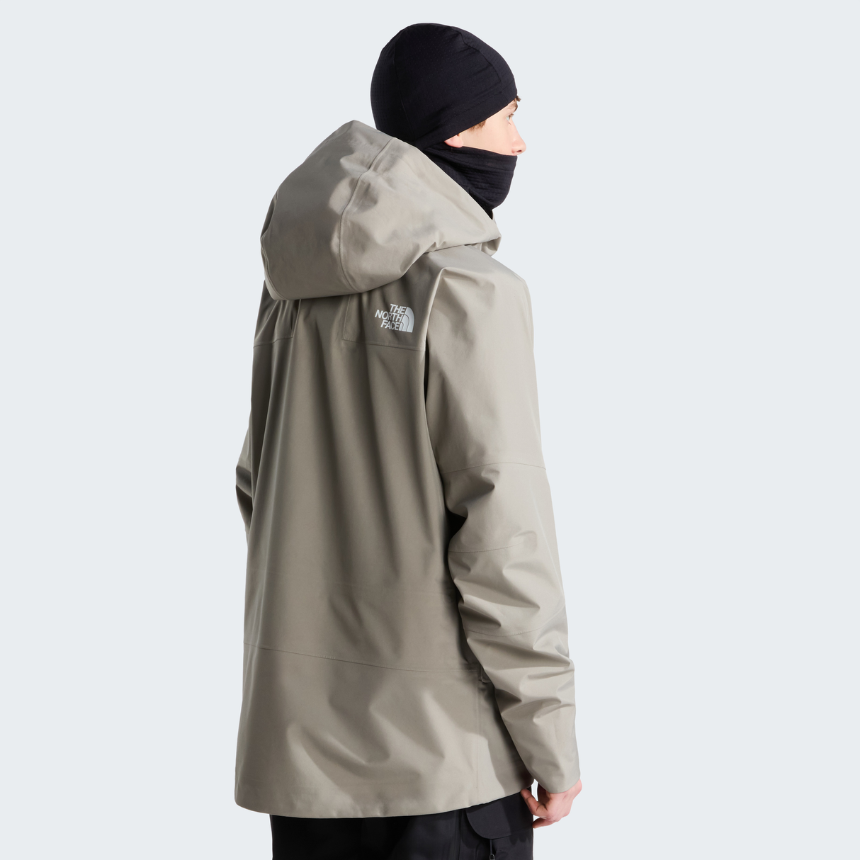 tnf_asset:NF0A8C9E2MB-ALT3