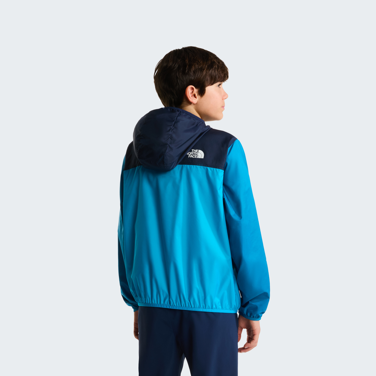 tnf_asset:NF0A8ANMPFC-ALT3