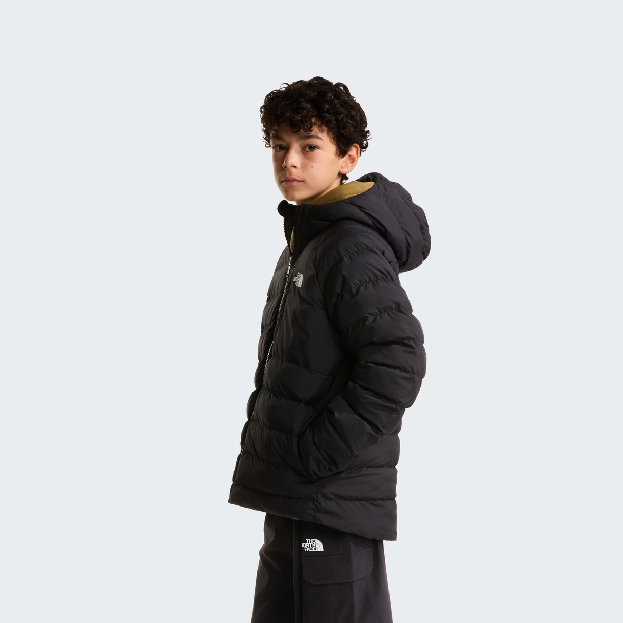 tnf_asset:NF0A88TWWOO-ALT3