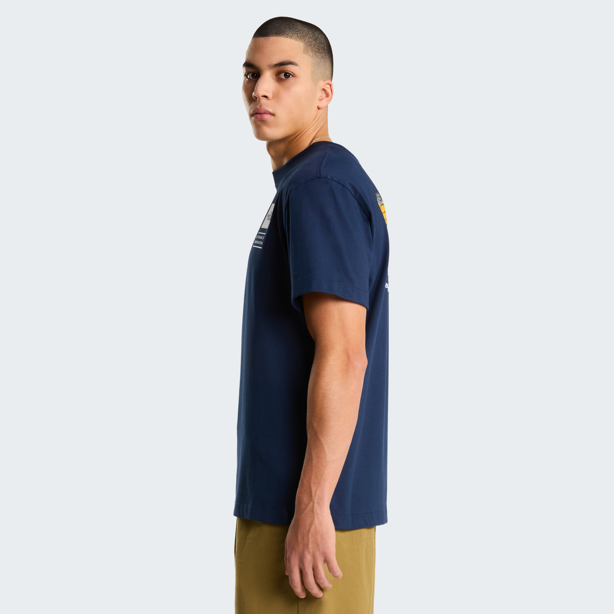 tnf_asset:NF0A8GAR8K2-ALT3