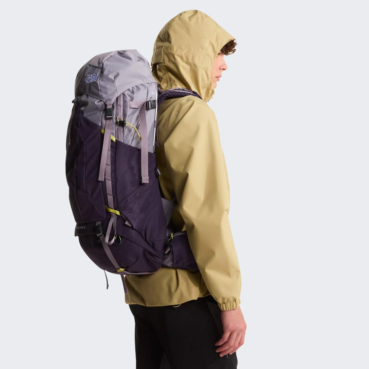 tnf_asset:NF0A81CHNRC-ALT1