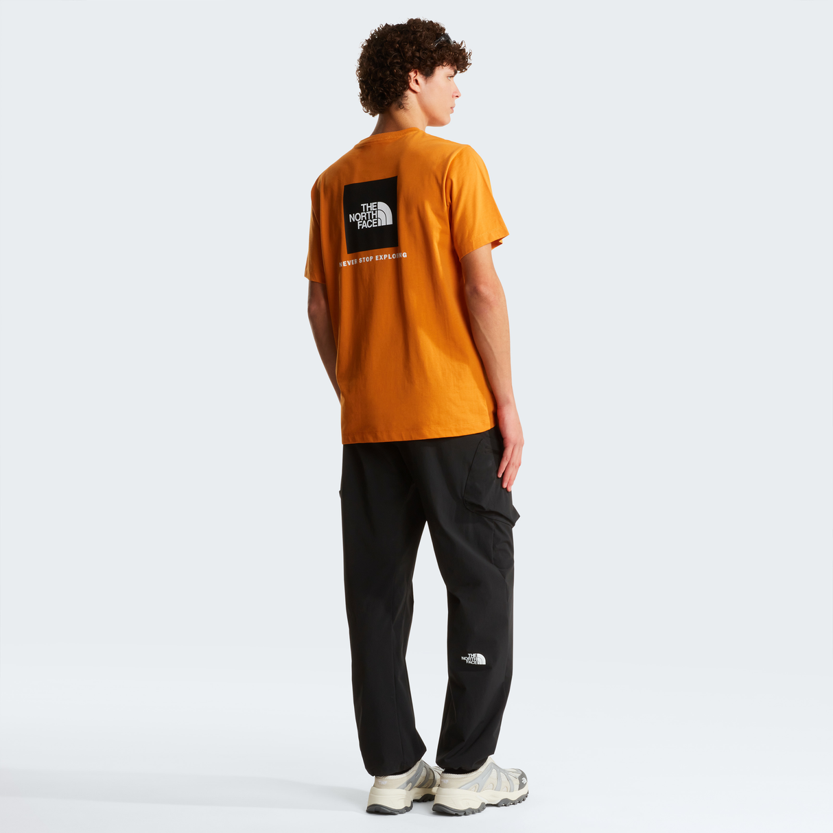 tnf_asset:NF0A8B6KG5I-ALT2